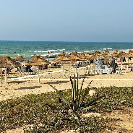 Roof Top Pied Dans L'Eau Panoramic View, 80 Meters From Seaside Hammamet Exterior foto